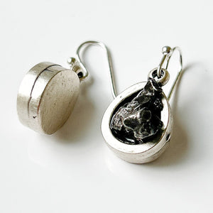 Meteorite Teardrop Dangle Earrings