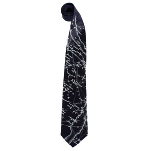 Northern Constellations & Milky Way Necktie