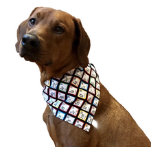 Load image into Gallery viewer, Periodic Table Pet Collar Bandana