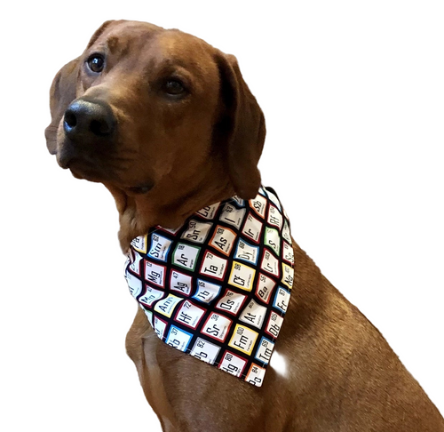 Periodic Table Pet Collar Bandana
