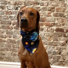 Load image into Gallery viewer, Brown dog wearing a space-themed bandana sitting on a wooden floor against a brick wall.