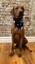 Load image into Gallery viewer, Planets Pet Collar Bandana