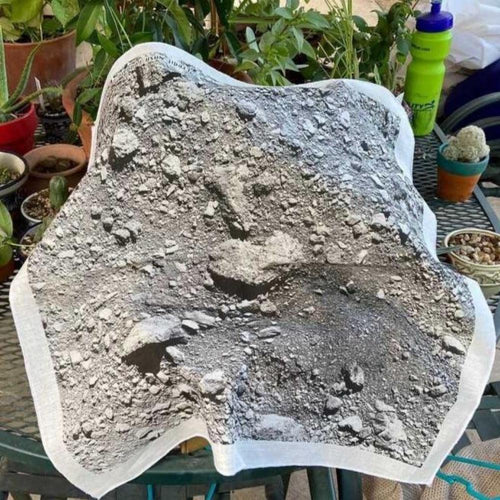 Asteroid Bennu Nightingale Landing Site Bandana
