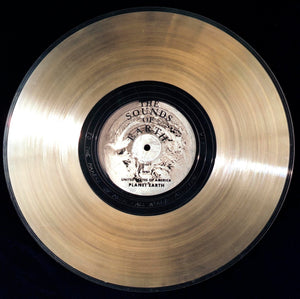 Voyager Golden Record Mismatched Earrings